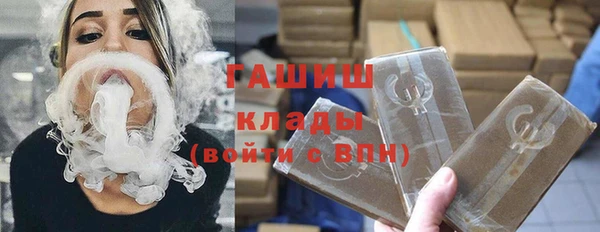 гидра Бородино