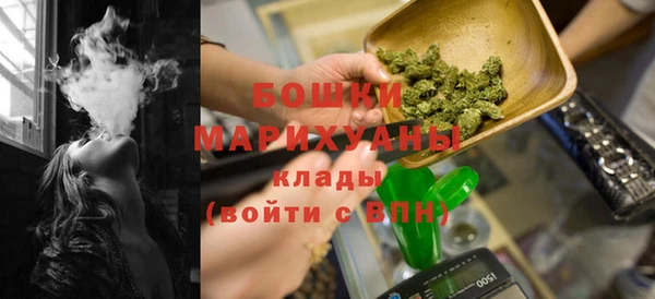 гидра Бородино