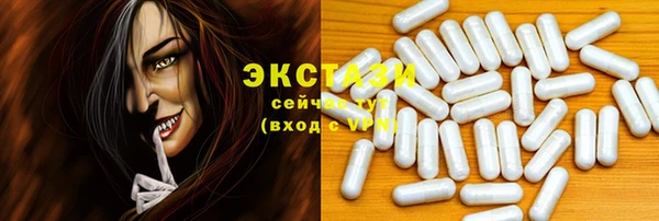 гидра Бородино