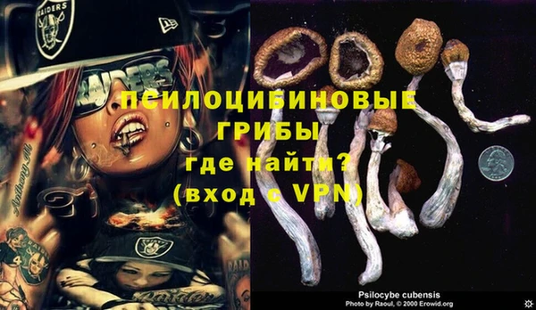 гидра Бородино