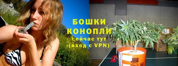 трава Бронницы