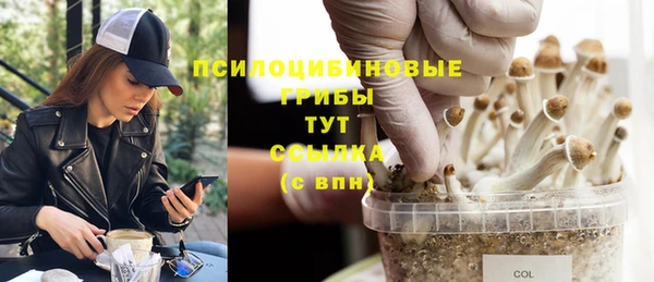 трава Бронницы