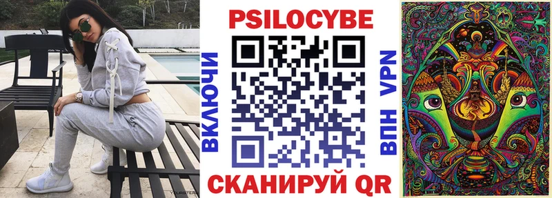Псилоцибиновые грибы Cubensis  Рубцовск 